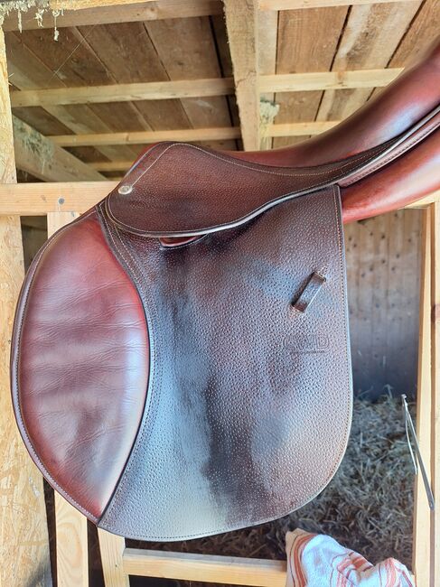 CWD Sattel, CWD, Carmen Hahs, Jumping Saddle, Grimmen