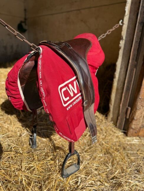 CWD Sattel, CWD SE32, Wolfang, Jumping Saddle, Frankfurt, Image 2