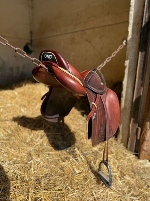 CWD Sattel, CWD SE32, Wolfang, Jumping Saddle, Frankfurt, Image 4