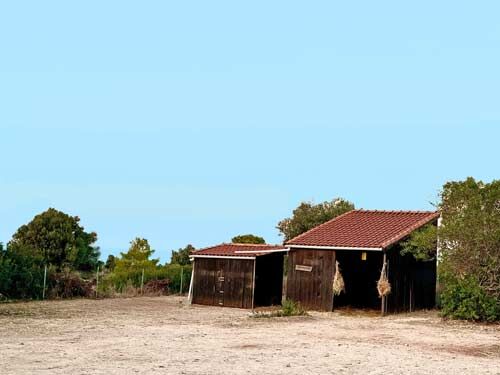 Nord-Zypern, Esentepe - exkl. Villa mit Meerblick und Offenstall für 2-3 Pferde zu verkaufen, Sabine Wesseln, Maras World of Horses (Maras World of Horses, Maras World Solutions S.L.), Nieruchomości jeździeckie, Esentepe, Image 8