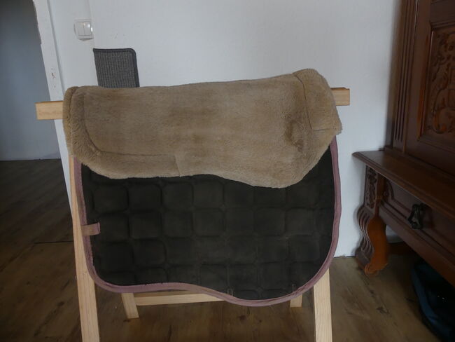 Dressur Schabracken, Verschiedene , Marie Schüller , Czapraki, Kruft, Image 6