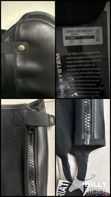 Arian Reitchaps, neu, Top Angebot, Ariat Junior Concord Chap, C. Schüler, Czapsy i sztylpy, Hünxe, Image 11