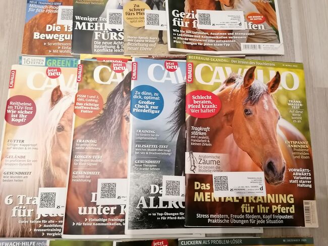 Zeitschriften Cavallo, Cavallo Zeitschriften , Julia Dickhäuser , Książki, Fröndenberg, Image 3