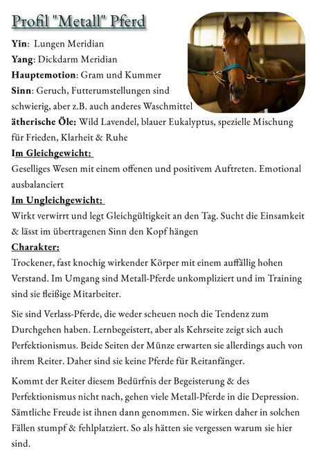 Ist dein Pferd ein Holz-Pferd oder hast du eher Feuer unter dem Hintern?, Sybille Baier (Sunstar-Self-Healing), Terapia i leczenie, Herzberg am Harz, Image 4