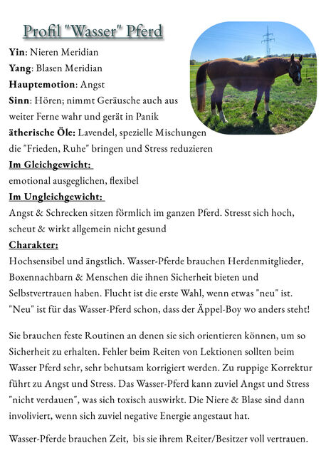 Ist dein Pferd ein Holz-Pferd oder hast du eher Feuer unter dem Hintern?, Sybille Baier (Sunstar-Self-Healing), Terapia i leczenie, Herzberg am Harz, Image 5