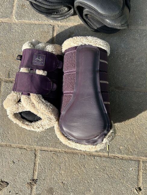 Gamaschen Pferd, Lea , Tendon Boots, Nottuln, Image 3