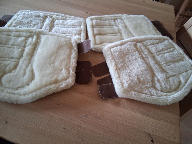 Gamaschen mit Sprungglocken, Equestrian Stockholm  Gamaschen für vorne und hinten neu, Waltner Iris, Tendon Boots, Fischbachau, Image 5