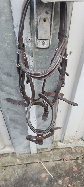 Gamaschen, Zaumzeug, Halfter, Josi, For Horses, Bad Kösen