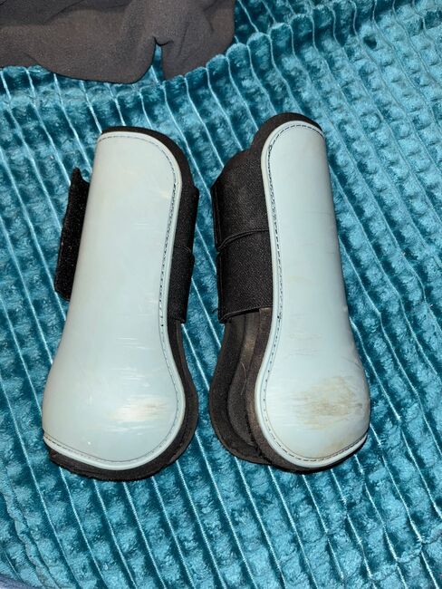 Hartschalengamaschen, Showmaster , Melanie, Tendon Boots, Roth, Image 4