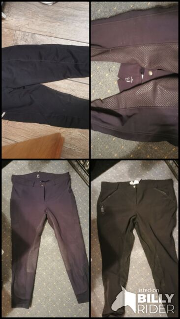 Damenreithosen/-leggings gr 48/50, Saskia , Breeches & Jodhpurs, Schwülper , Image 13