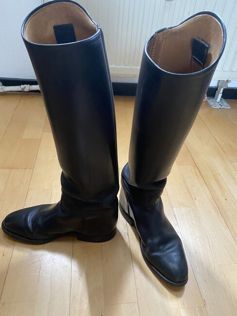 Damenreitstiefel von Continental, Continental, Hanna Kleer , Riding Boots, Rheinberg