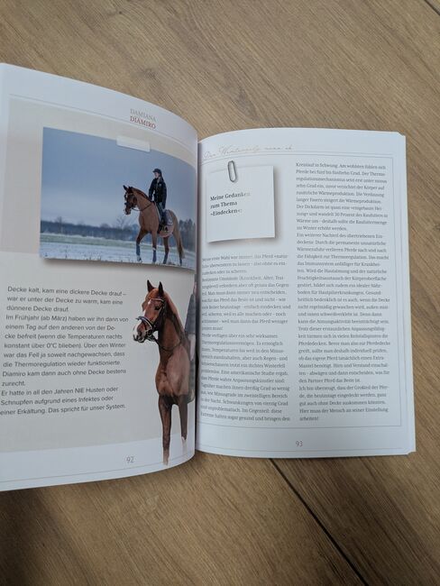 Damiana und Diamiro, Müller Rüschlikon, ponymausi, Books, Naumburg, Image 4