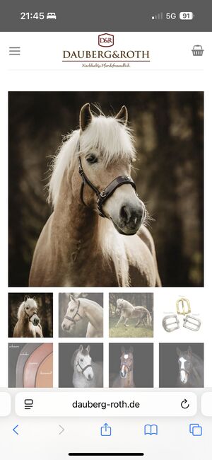 Dauberg&Roth Kappzaum Goethe VB/kleines WB, Dauberg&Roth  Goethe, Verena Heiler, Lunging, Adligenswil