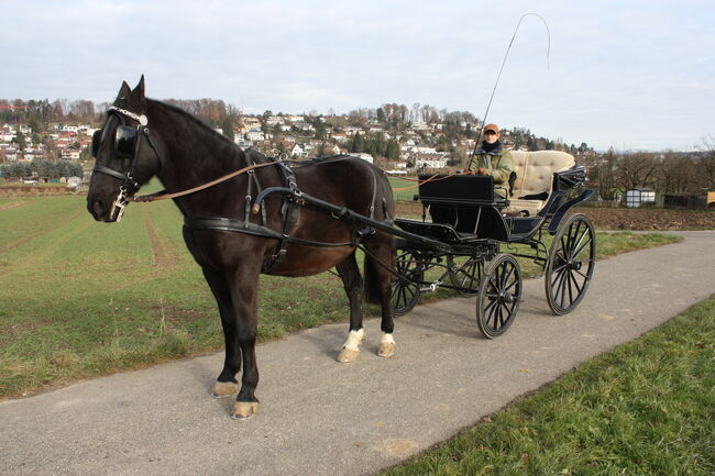 Doktorchaise, Nadja Peter, Carriages, Ettingen, Image 5