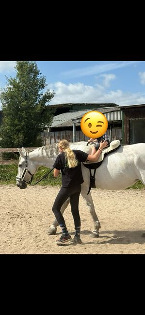 Liebe tolle Stute als bei stell Pferd an.,  E .p , Horses For Sale, Thedinghausen, Image 5