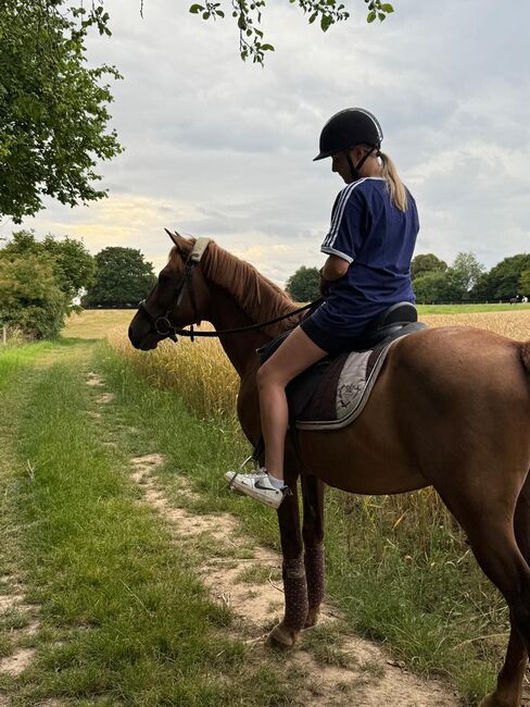 Liebes Pony abzugeben, Marcel S , Horses For Sale, Mettmann , Image 4