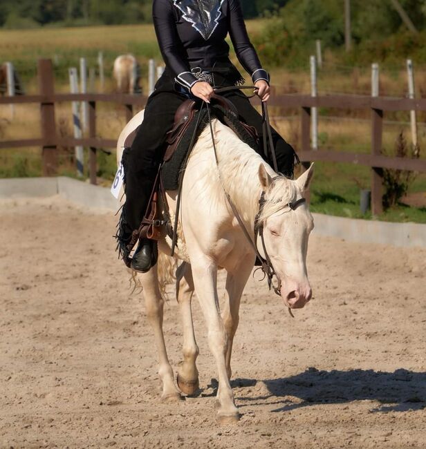 engagierte Quarter Horse Mix Stute in ausgefallener Farbe, Kerstin Rehbehn (Pferdemarketing Ost), Horses For Sale, Nienburg, Image 6