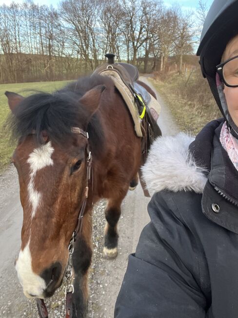Reitbeteiligung auf kleinem Wallach, Mischlingspferd Wallach, Birgit, Horse Sharing, Oberneufnach 