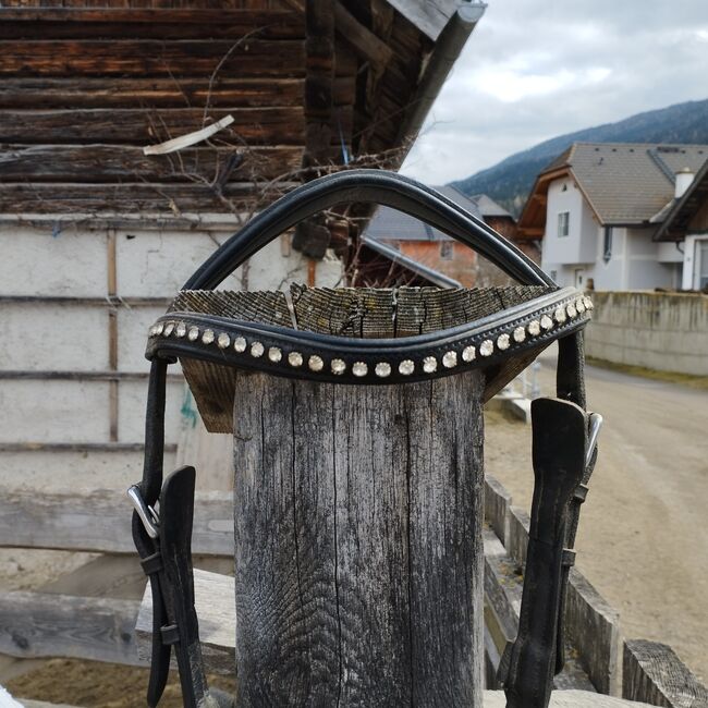 Dänische Ausbildungstrense von Töltsaga, Töltsaga Ausbildungstrense , Jennifer Fötschl , Bridles & Headstalls, Unternberg