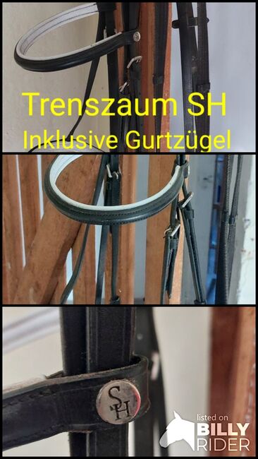 Trenszaum SH, SH , Kerstin , Bridles & Headstalls, Cham, Image 4