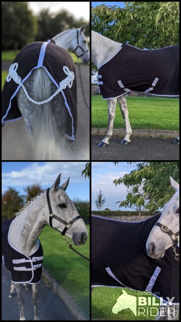 Deluxe fleece cooler, Amy, Derki dla konia, Dublin , Image 5