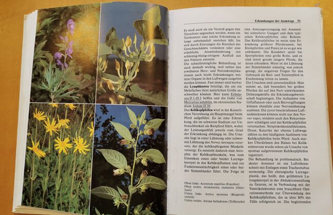 Der homöopathische Pferdedoktor - Grundlagen, Heilbehandlungen, Arzneibilder, kosmos  Gerhart Gerweck, Mandy, Books, Camburg, Image 6