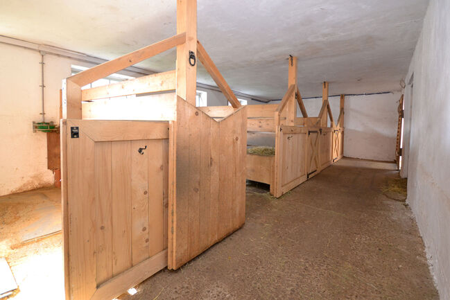 Denkmalprämierstes Jurahaus mit Pferdehof und erstklassiger Reithalle, Die Denkmalschutz Immobilie eGbR Sandra Weckmar, Pferdeimmobilien, Pappenheim, Abbildung 14