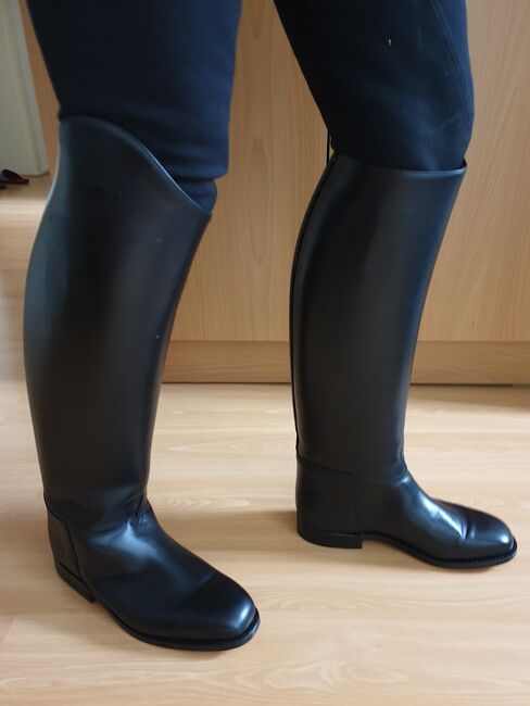 Derby Reitstiefel nie getragen!, Derby Bento, Simone, Riding Boots, Berlin, Image 6