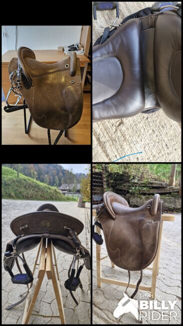 Deuber Barock Schulsattel, Deuber& Partner, Mawico, Baroque Saddle, Altnau, Image 6