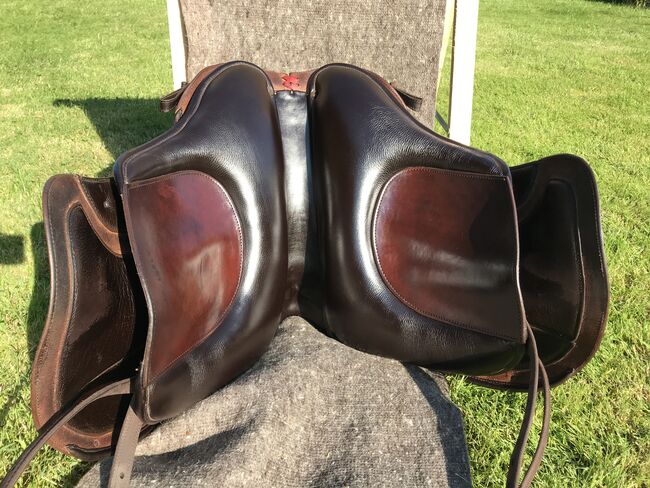 Deuber El Campo Shorty SKL S2, Deuber El Campo, Sabine Thallinger, Baroque Saddle, Ohlsdorf, Image 3