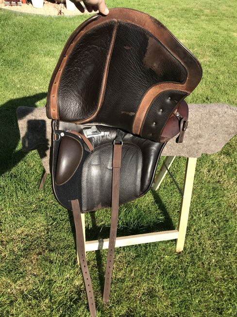 Deuber El Campo Shorty SKL S2, Deuber El Campo, Sabine Thallinger, Baroque Saddle, Ohlsdorf, Image 9