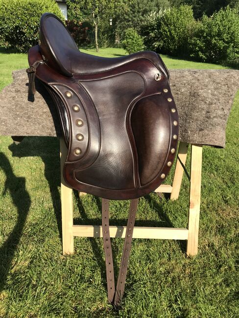 Deuber El Campo Shorty SKL S2, Deuber El Campo, Sabine Thallinger, Baroque Saddle, Ohlsdorf, Image 12