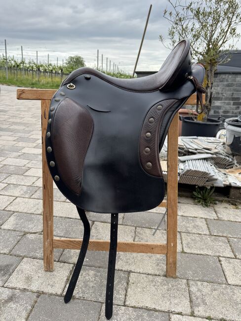Deuber El Campo Shorty S3, Deuber El Campo Shorty, Lara, Barocksattel, Oberderdingen