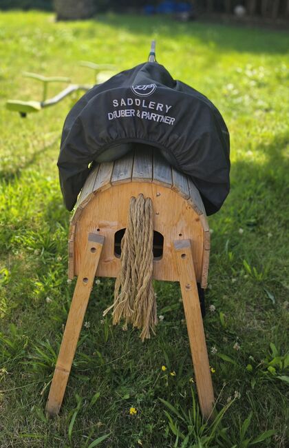 Deuber El Campo Shorty SKL  S 2, Deuber El Campo Shorty, Gudrun König , Baroque Saddle, Blieskastel, Image 9