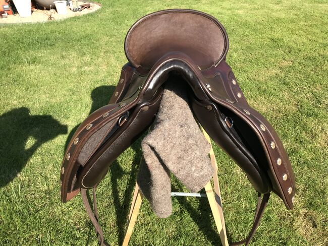 Deuber El Campo Shorty SKL S2, Deuber El Campo, Sabine Thallinger, Baroque Saddle, Ohlsdorf, Image 6