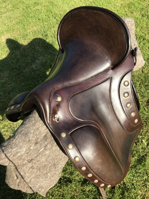 Deuber El Campo Shorty SKL S2, Deuber El Campo, Sabine Thallinger, Baroque Saddle, Ohlsdorf, Image 8