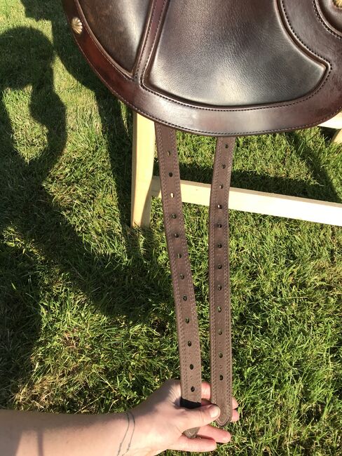 Deuber El Campo Shorty SKL S2, Deuber El Campo, Sabine Thallinger, Baroque Saddle, Ohlsdorf, Image 10