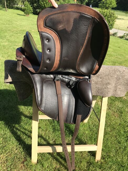 Deuber El Campo Shorty SKL S2, Deuber El Campo, Sabine Thallinger, Baroque Saddle, Ohlsdorf, Image 11