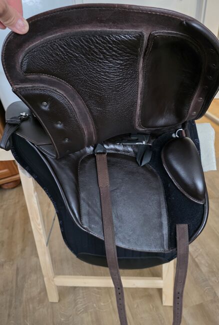 Deuber El Campo SKL (S1), Deuber  El Campo , Dunja Daig, Other Saddle, Waldbüttelbrunn , Image 6