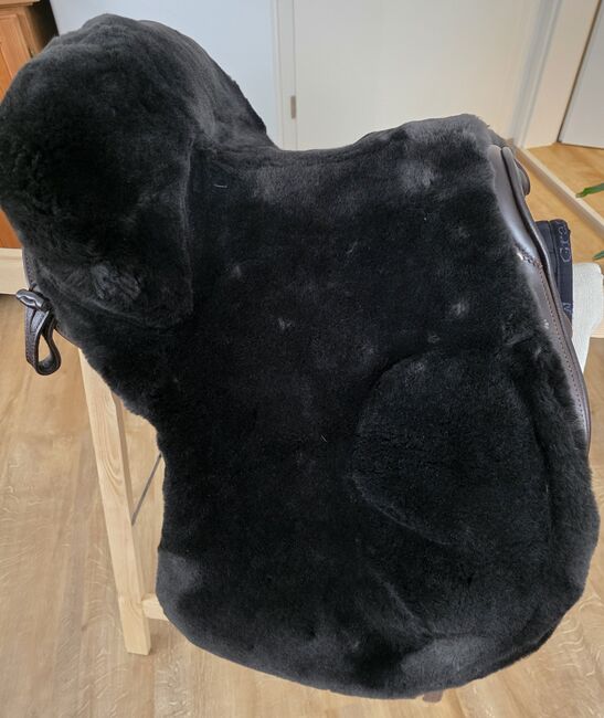 Deuber El Campo SKL (S1), Deuber  El Campo , Dunja Daig, Other Saddle, Waldbüttelbrunn , Image 12