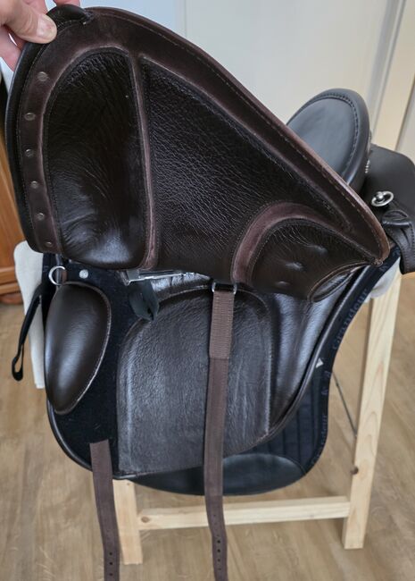 Deuber El Campo SKL (S1), Deuber  El Campo , Dunja Daig, Other Saddle, Waldbüttelbrunn , Image 5
