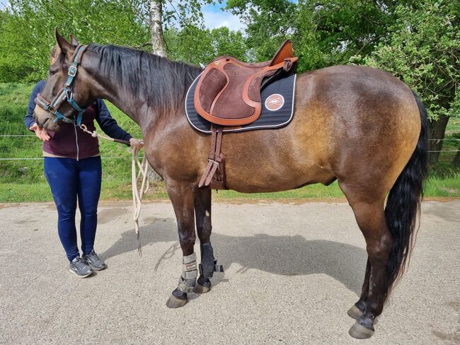 Deuber El Campo SKL S3 neuwertig, Deuber El Campo SKL, Nicole Brand, Baroque Saddle, Syke