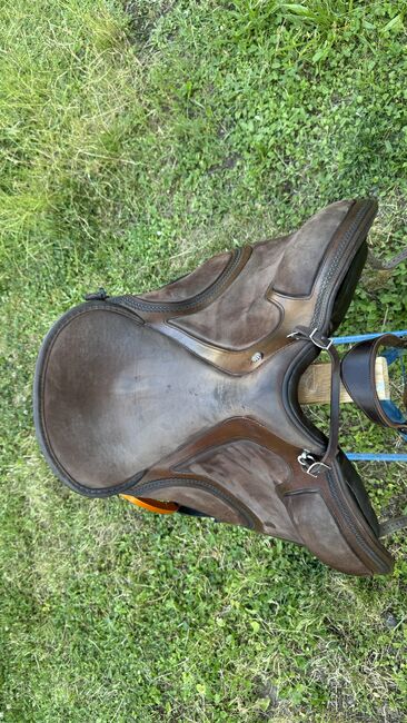 DEUBER Sattel El Campo SKL S3 Havanna mit Ausstattung, Deuber El Campo SKL S3 Havanna, Harald Schirmer, Baroque Saddle, Hagelstadt, Image 3