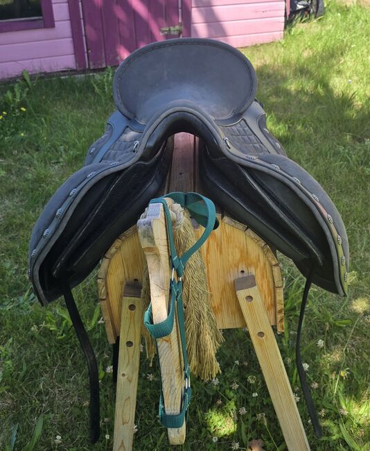 Deuber und Partner El Campo Shorty, Deuber El Campo Shorty, Gudrun König , Baroque Saddle, Blieskastel, Image 11