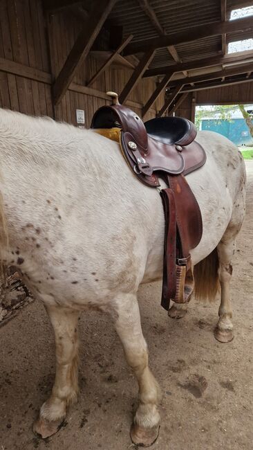 Deuber und Partner Flex Fit Vario 1305, Deuber und Partner  1305, Ria, Western Saddle, Rösrath, Image 4