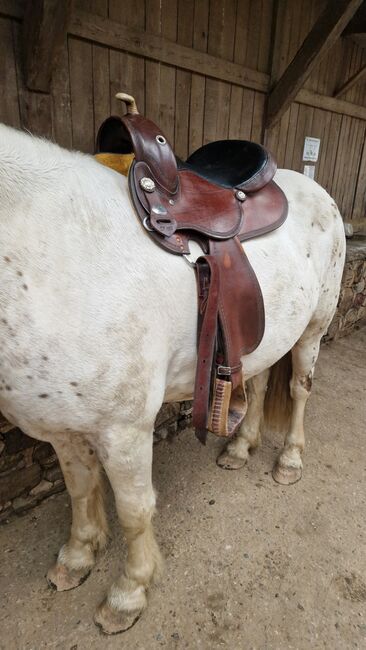 Deuber und Partner Flex Fit Vario 1305, Deuber und Partner  1305, Ria, Western Saddle, Rösrath, Image 6