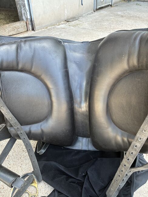 Deuber Espera S3 mit Zubehör, Deuber Espera, Susanne, Baroque Saddle, Stegaurach, Image 3