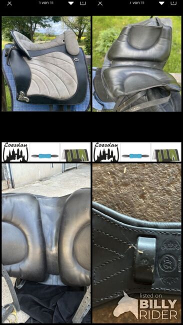 Deuber Espera S3 mit Zubehör, Deuber Espera, Susanne, Baroque Saddle, Stegaurach, Image 20