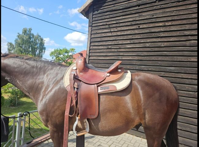 Deuber Flex Fit Vario 1028 (L-Baum, 16 Zoll Sitz), Deuber Flex Fit Vario 1028, Annika, Western Saddle, Röbel