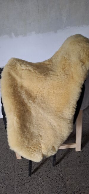 Sattel Deuber Impuls S3, Deuber  Impuls S3, kerstin, Dressage Saddle, Wittenberg , Image 8